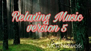 BEAUTIFUL RELAXING MUSIC | WILD FLOWERS