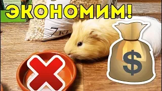 НЕТ ДЕНЕГ! Экономим... ЛАЙФХАКИ / КОРМ И НАПОЛНИТЕЛЬ ДЕШЕВО / SvinkiShow