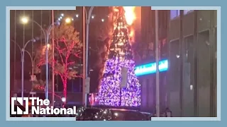 Fox News tree in New York City set on fire