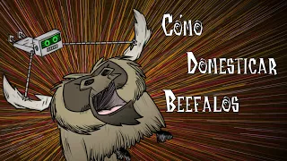 Cómo domesticar Beefalos | Don’t Starve |