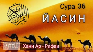 Прекрасное чтение Корана! Сура 36 "Йа Син". Шейх: Хани Ар - Рифаи