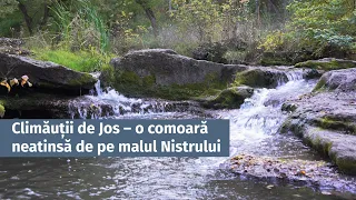 Climăuții de Jos – o comoară neatinsă de pe malul Nistrului