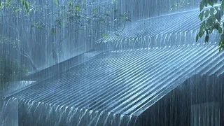 Hurricane Storm Sounds for Sleep - 30 Minutes Heavy Rain Sounds for Sleep, Study and Relaxation