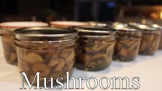 Canning Mushroom Video FAIL With Linda's Pantry