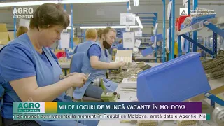 Mii de locuri de muncă vacante în Moldova – AGRO TV News