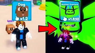 I Hatched The Best Secret Pet And Became A Master In Rebirth Champion X Roblox!