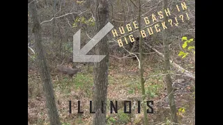 Illinois Rut Hunt- Wounded buck comes into scrape?!?