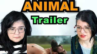 TEACHERS REACT | 'ANIMAL' - OFFICIAL TRAILER | Ranbir Kapoor