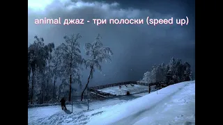 animal джаz - три полоски (speed up)