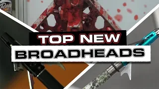 Top New Broadheads For 2019