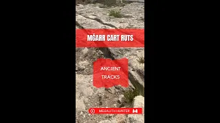 Mġarr Cart Ruts | Ancient Tracks