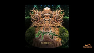 Shpongle - Celestial Intoxication