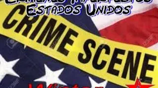 Crímenes Imperfectos Estados Unidos (26) Winter