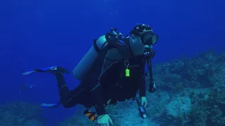 Little Cayman Dive Trip Video