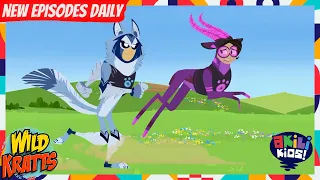 Wild Kratts | Team Fast Feet Vs Team Predator | Akili Kids!