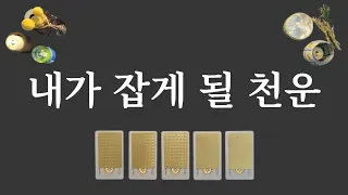 [타로카드] 내가 잡게 될 천운(天運)⭐️