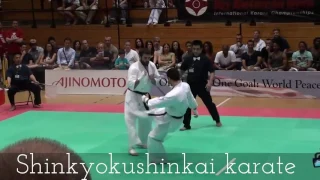 Ushiro Mawashi Geri (Уширо маваши гери)