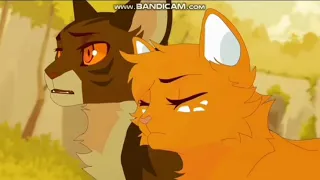 About You Now Squirrelflight Animator Tribute