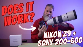 Sony 200-600 Lens on a Nikon Z9?  Does it really work?? - The Megadap Adapter ETZ21 PRO