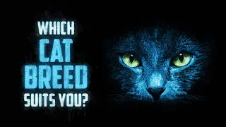 Which Cat Breed Suits You?