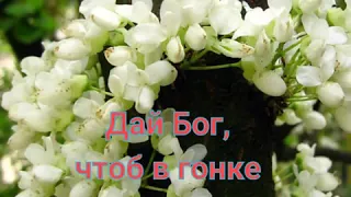 Маленькие ржачки прикол!!!(83)