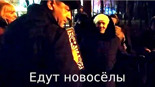 "Едут новоселы" песня под гармонь