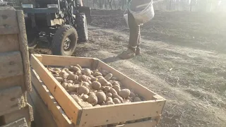 САДИМО КАРТОПЛЮ МІНІТРАКТОРОМ З МОТОБЛОКА та саморобною картоплесаджалкою