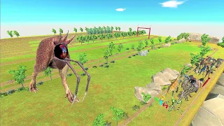 Last Survivor. Touched out, Fenced grassland field course! | Animal Revolt Battle Simulator