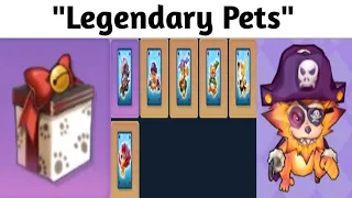 Pet Card Chest Be Like - Grand Chase Classic