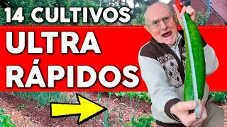 14 PLANTAS que puedes COSECHAR en menos de 90 días y UNO que te sorprenderá