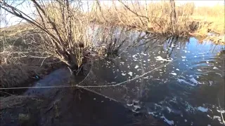 Рыбалка На Паук Подъёмник в ручье