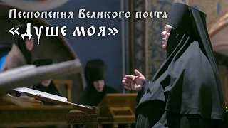 «ДУШЕ МОЯ» – ПЕСНОПЕНИЯ ВЕЛИКОГО ПОСТА