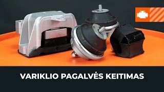 Kaip pakeisti variklio pagalvę [AUTODOC PAMOKA]