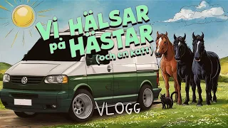 VI HÄLSAR PÅ HÄSTAR (OCH EN KATT) *** VLOGG ***