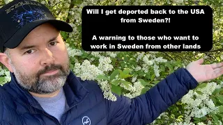 Will I get deported from Sweden back to the USA? Must watch if you plan to move to Sweden to work.