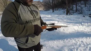 First shots from my new Stoeger coach gun