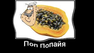 Мой шумный дом + ШИЗА =