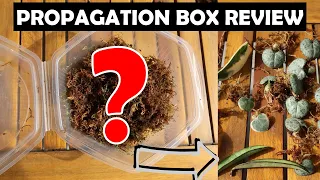 BEST Plant Rooting Method! | Houseplant Propagation Box  🌿 Plantkins