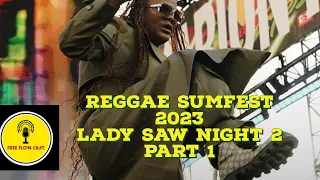 Lady Saw Takes Sumfest Night 2 #dancehall #minister Marion hall