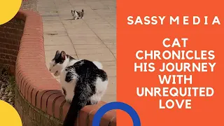 Cat chronicles his journey with unrequited love