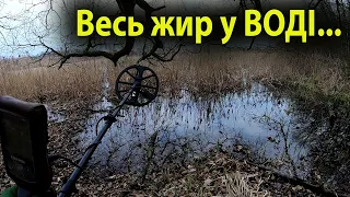 Коп в лісі.Такі знахідки ведуть завжди до ЗОЛОТА.Пошук з металошукачем minelab equinox в Україні.