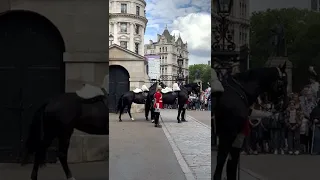 The Queen's Guard dismount his Horse, Guard inspection #shorts