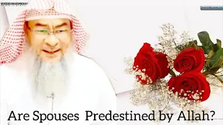 Are spouses predestined by Allah? - Assim al hakeem