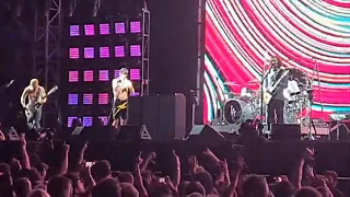 Red Hot Chili Peppers - She's A Lover (Live)