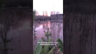 Работа подсадных уток Нижегородская область г.Сергач