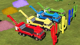 LAND OF COLORS! WOOD CHIPPER TRUCKS vs COLORED CACTUS! | Farming Simulator 19