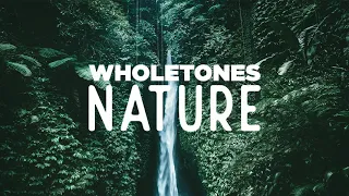 Wholetones: Nature Sample