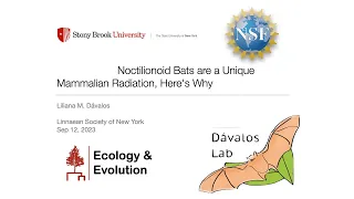 Dr. Liliana M  Dávalos • Noctilionoid Bats are a Unique Mammalian Radiation • September 2023