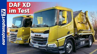 DAF XD - What's the Dutchman up to?