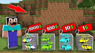 Minecraft NOOB vs PRO: WHICH RAREST ORE WITH CAR WILL NOOB BOUGHT FOR 1000$ VS 100$ VS 10$ VS 1$?